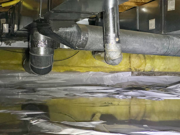 Best Basement water damage restoration  in USA